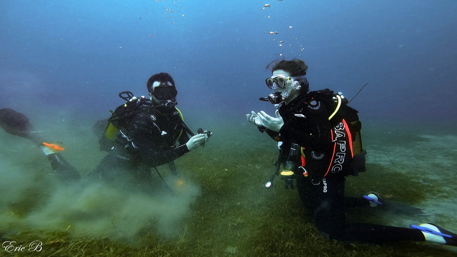 Randonnée palmée dans les criques d’Ajaccio